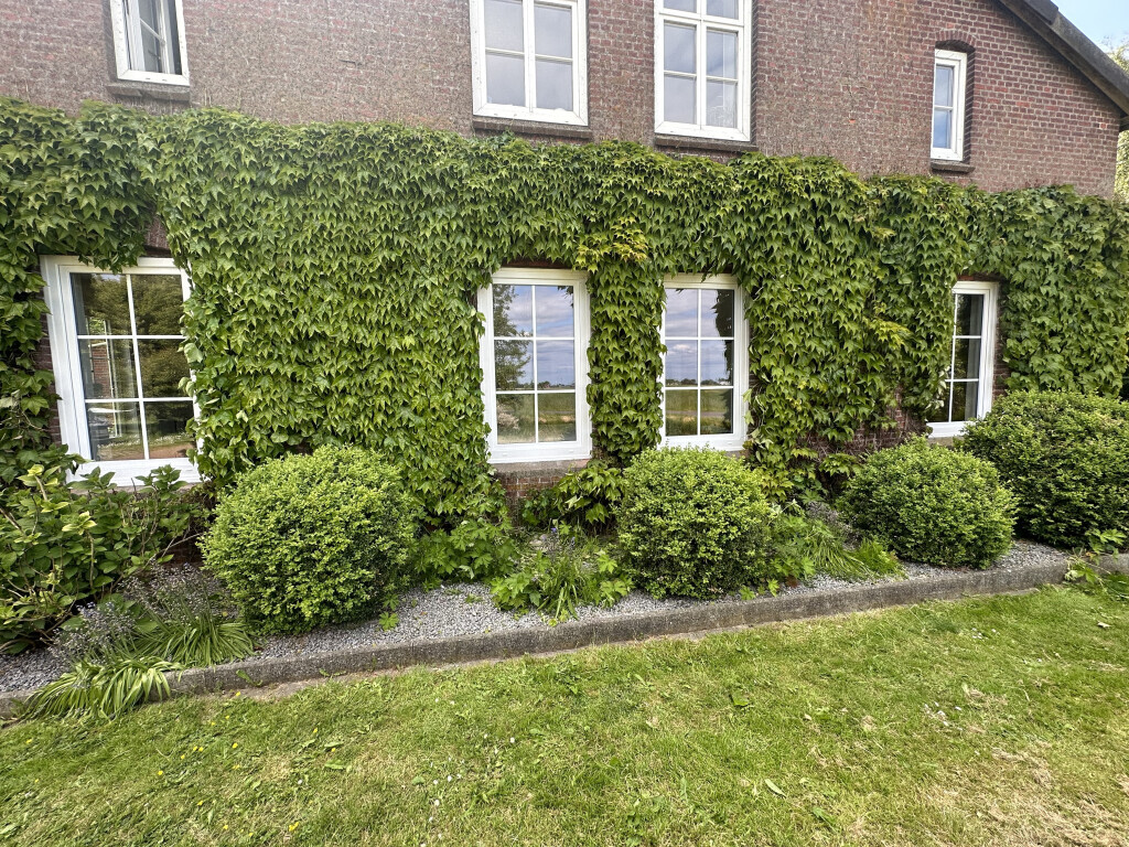 Bilder Parkett & Montageservice Börchers