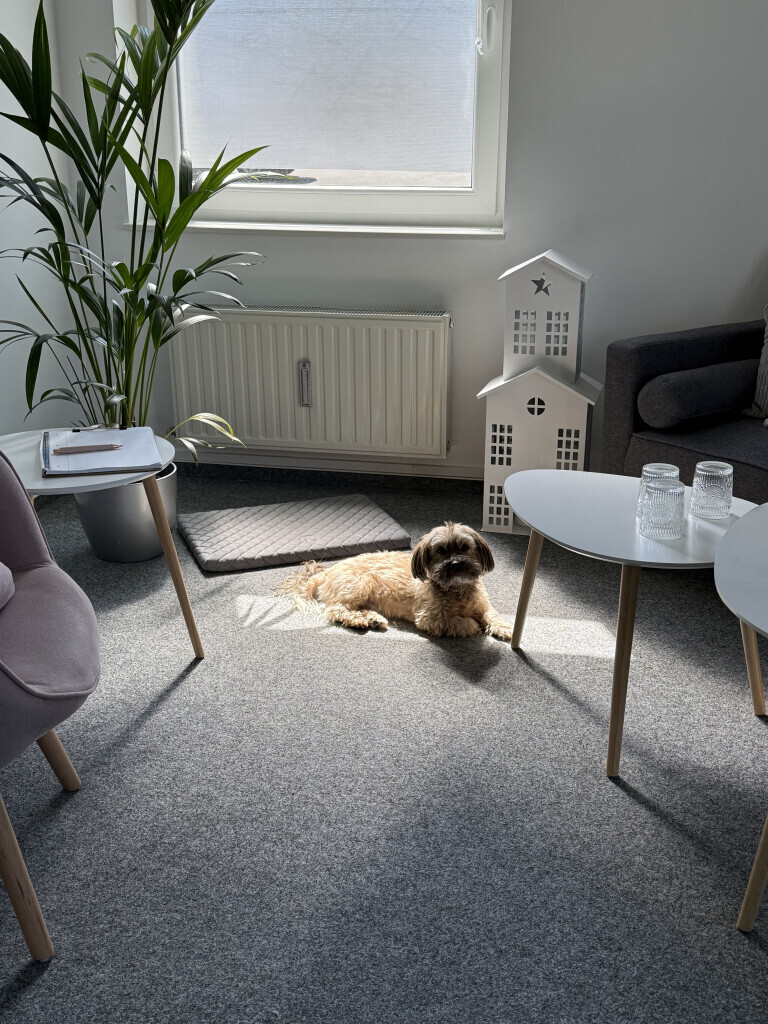 Bilder Therapie Neuß-Stein