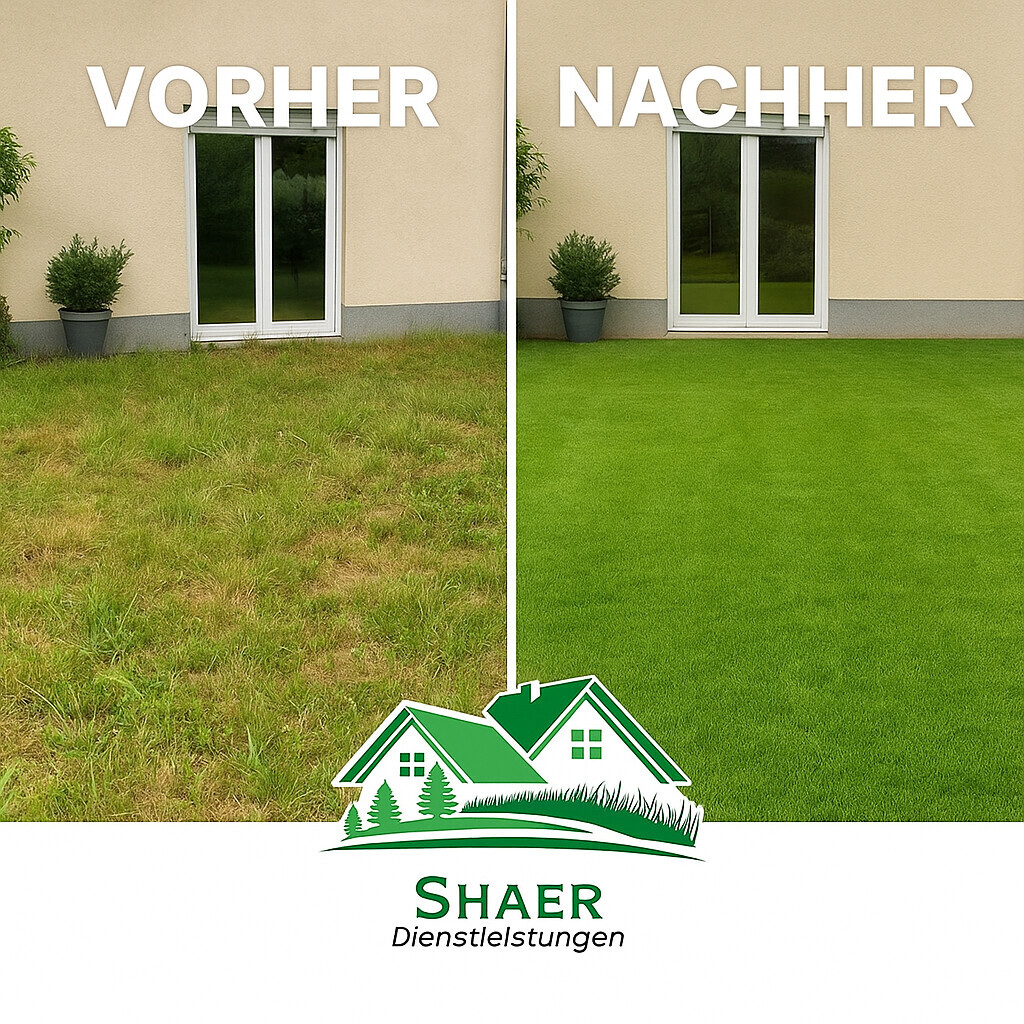 Bilder Abdulrahman Abo Shaer