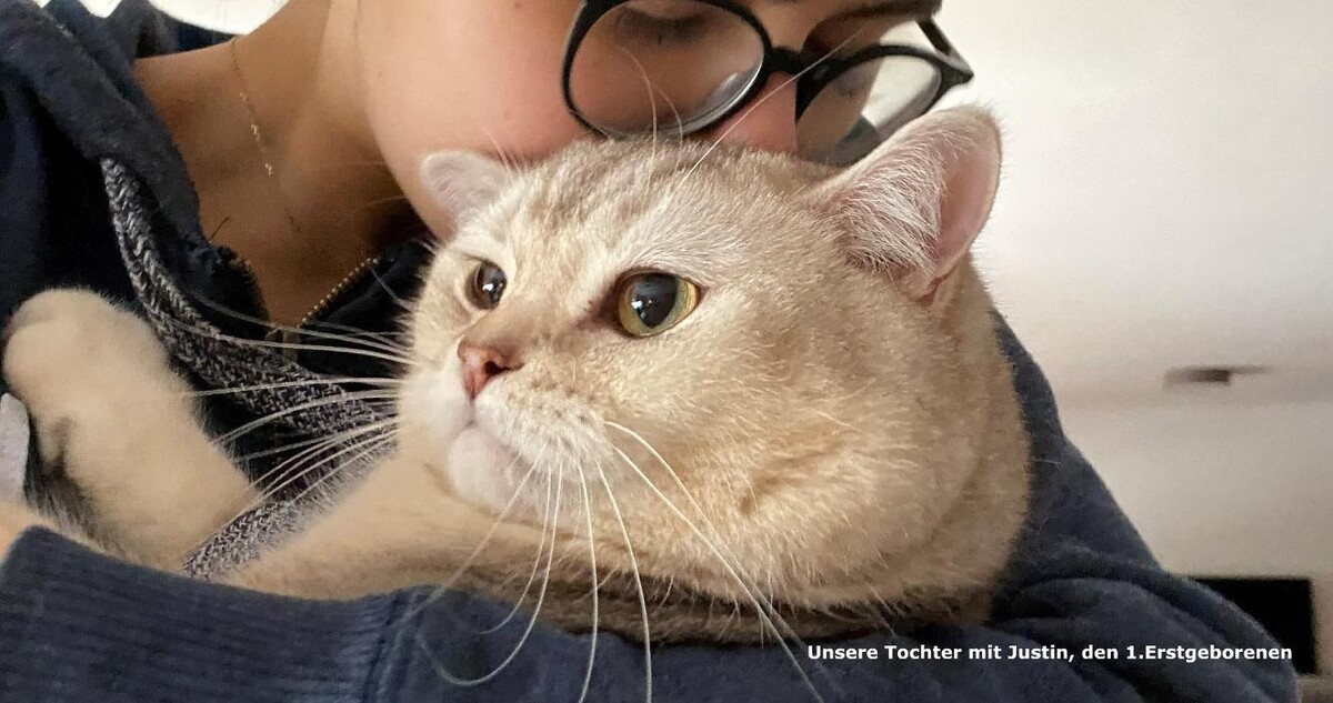 Bilder Tierbetreuung Katze und Co.eGbR