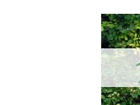 Website Screenshot MH Concept Immobilien - Verwaltung