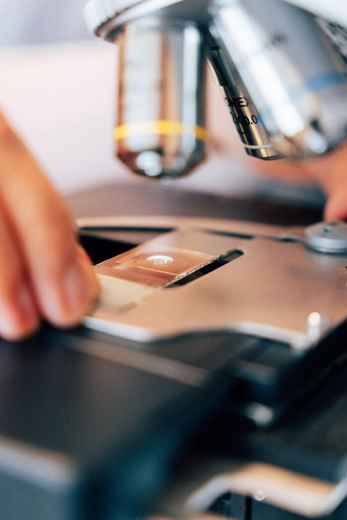 Bilder Praxis für Naturheilkunde - Inge Brunold