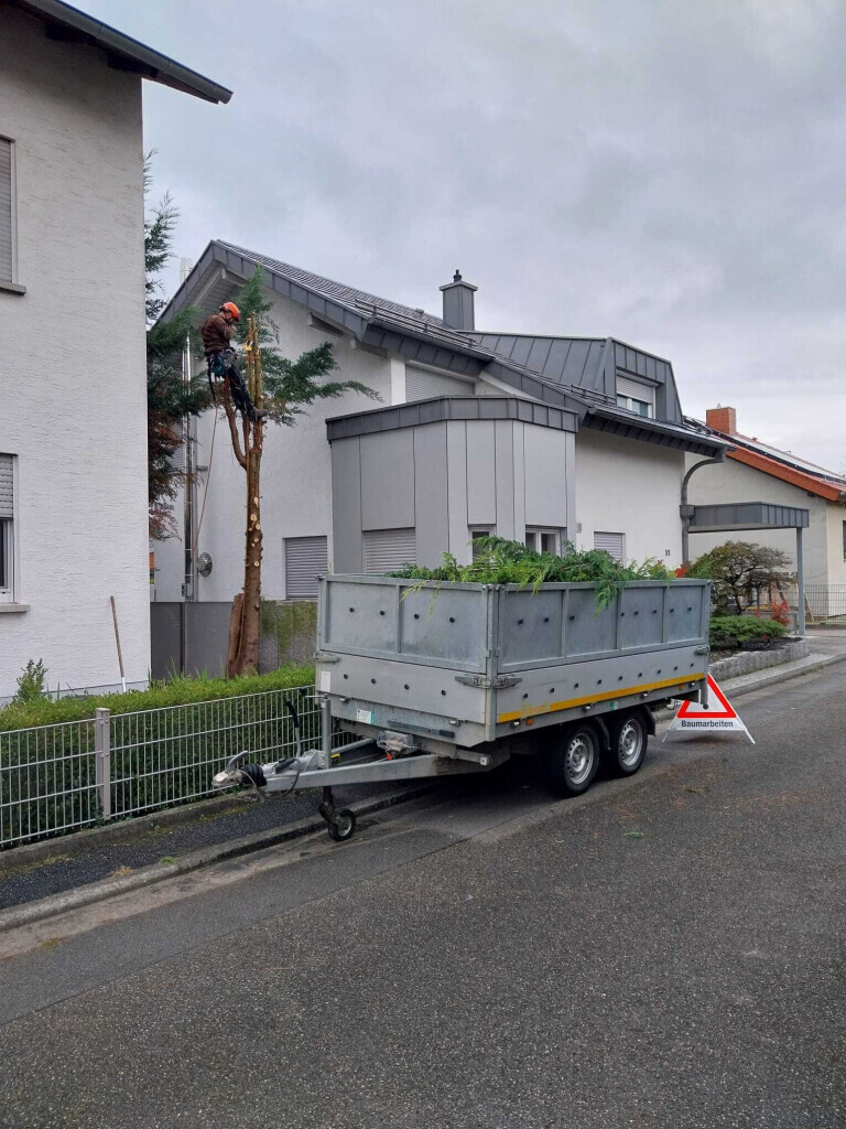 Bilder HD Baum&Gartenpflege