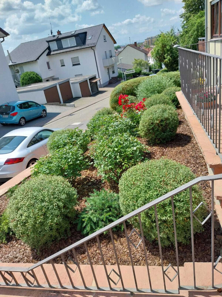 Bilder HD Baum&Gartenpflege