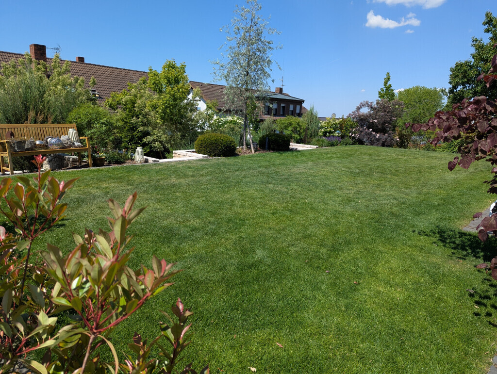 Bilder HD Baum&Gartenpflege