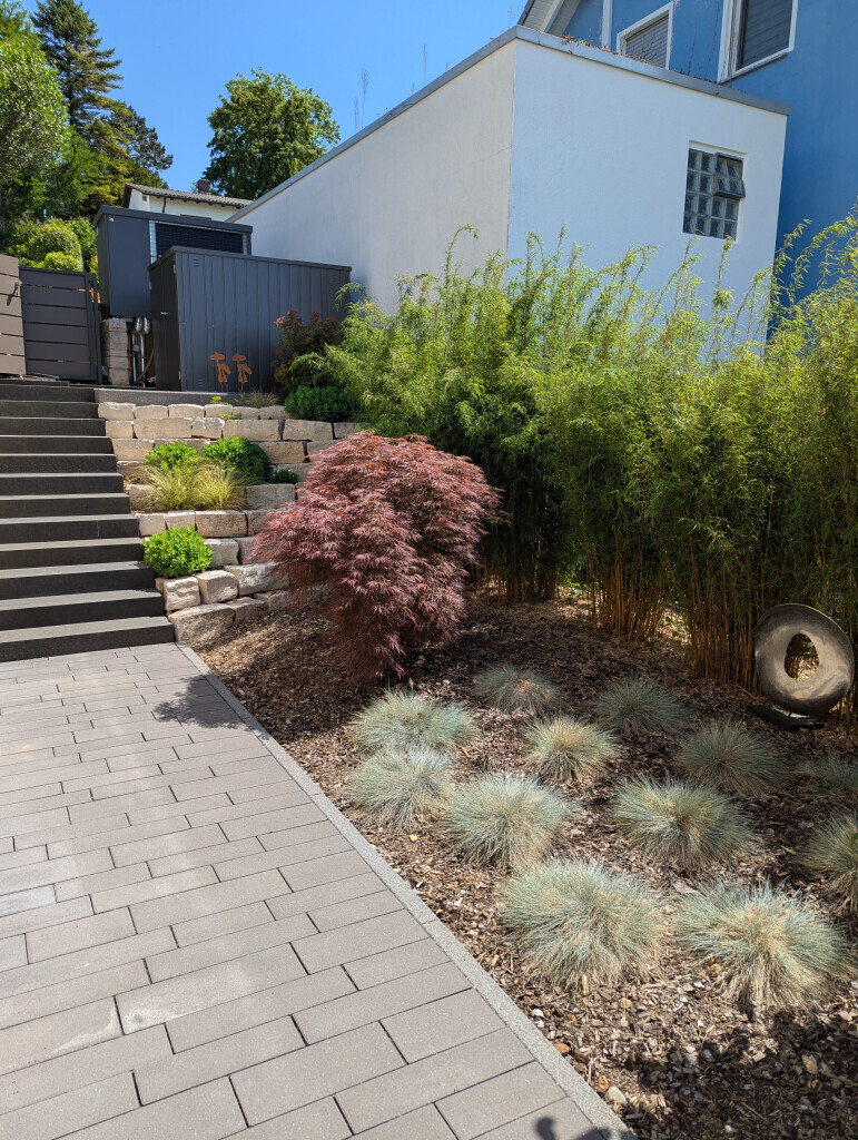 Bilder HD Baum&Gartenpflege