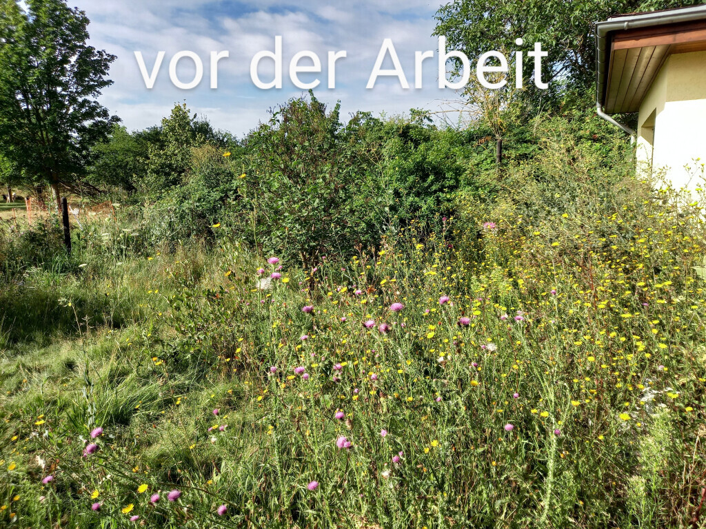 Bilder HD Baum&Gartenpflege