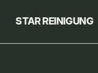 Website Screenshot Star Reinigung