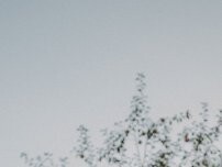 Website Screenshot Bella Bevande - mobile Bar