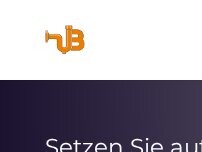 Website Screenshot Butz GmbH & Co. KG Rohr- Kanalreinigung