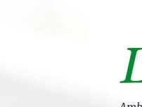 Website Screenshot Petra Leingang Ambulante Krankenpflege & Sozialdienst