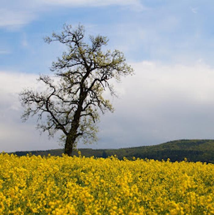 Bilder Krausert Hubert e.K. Inh. Peter Sauer Bestattungen