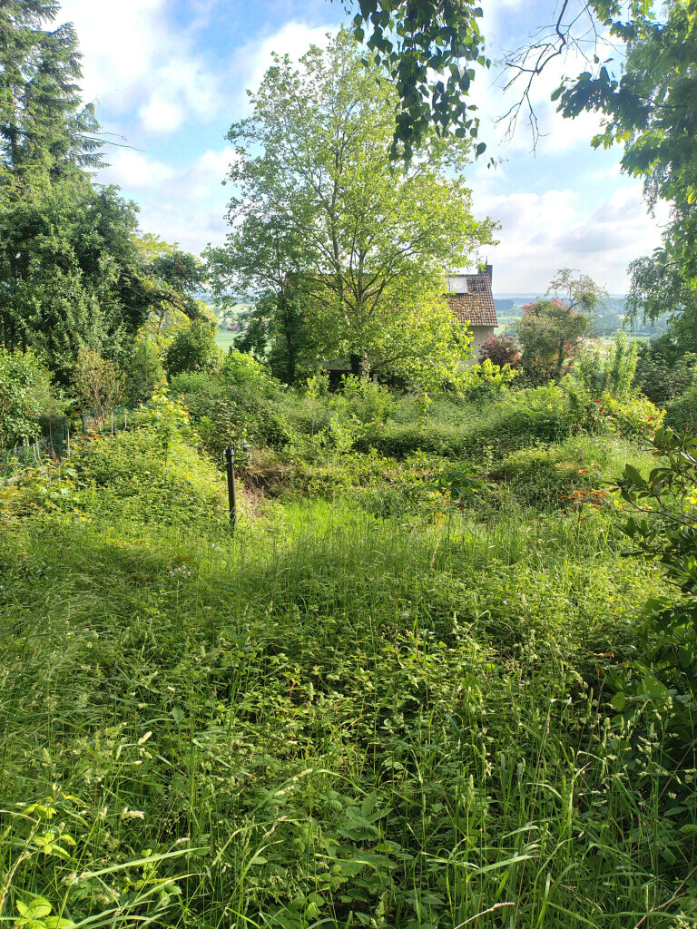 Bilder HmS service Simon Seelemeyer