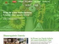 Website Screenshot Die Blumengalerie Inh. Antje Bylebyl e. K.