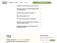 Website Screenshot Purus Reinigung