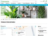 Website Screenshot Ostmann Intratuin Emden