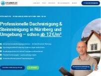 Website Screenshot Steamoflex