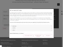 Website Screenshot Aleksej Raisch