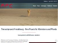 Website Screenshot Tierarztpraxis Friedeburg