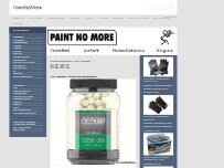 Website Screenshot PaintNoMore