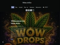 Website Screenshot Wow.chillz