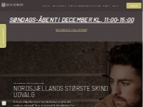 Website Screenshot Skin Corner