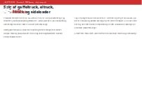 Website Screenshot RAMO ApS