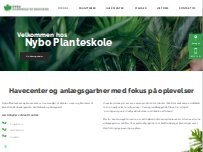 Website Screenshot NYBO PLANTESKOLE V/J PETERSEN