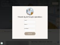 Website Screenshot AH Terapi