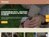 Website Screenshot FADYKO