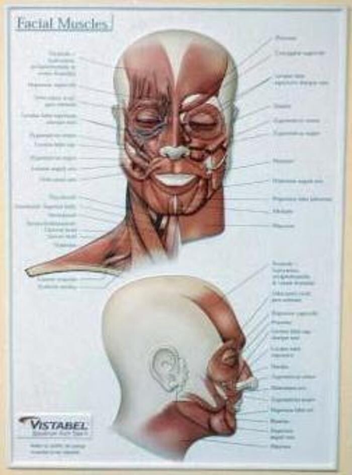 Images Blanco Diego, M.