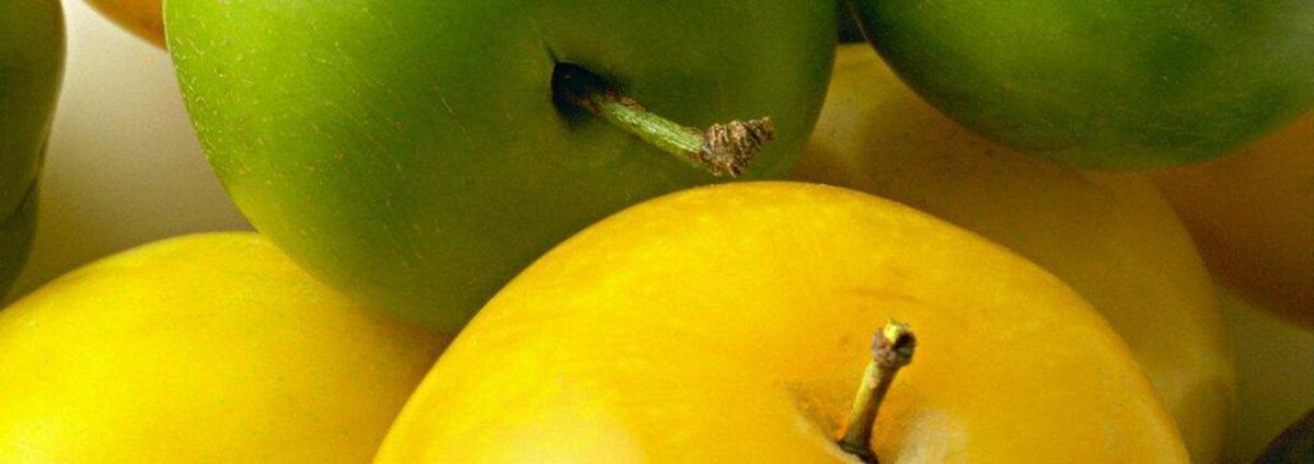 Images Blanco Diego, M.