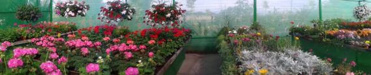 Images Rosenblatt y Pacheco S.L.