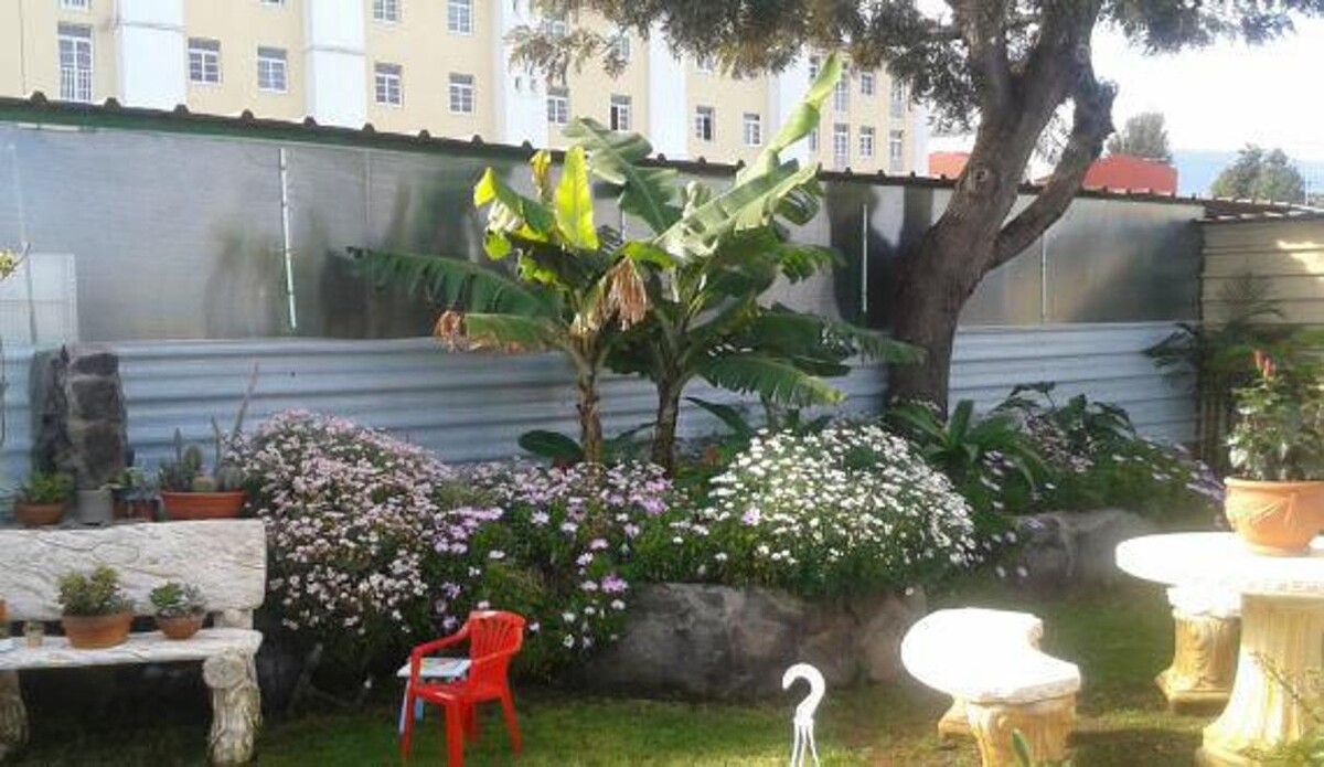 Images Rosenblatt y Pacheco S.L.