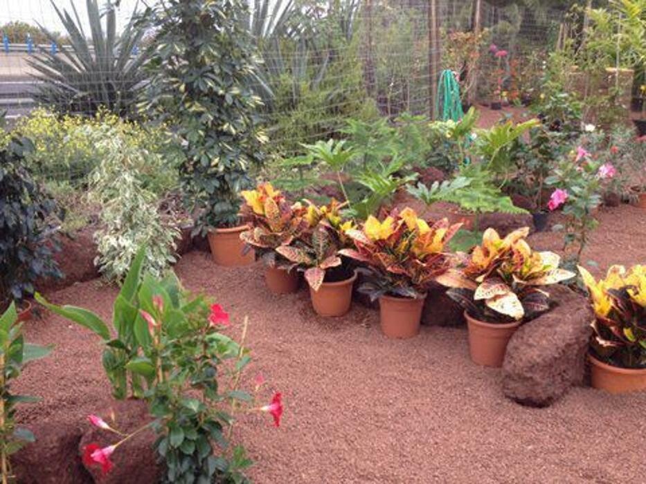 Images Rosenblatt y Pacheco S.L.