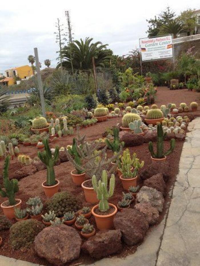 Images Rosenblatt y Pacheco S.L.