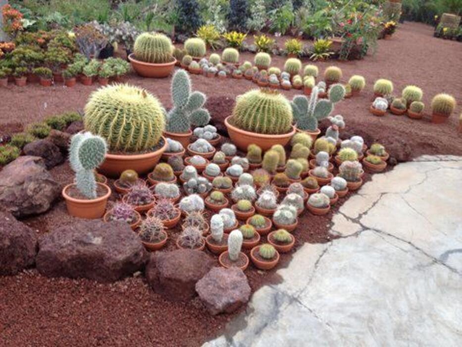 Images Rosenblatt y Pacheco S.L.