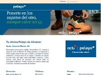 Website Screenshot Oficina Seguros Pelayo