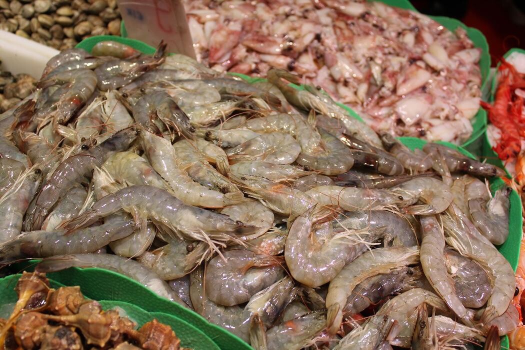 Images PESCADOS CANO