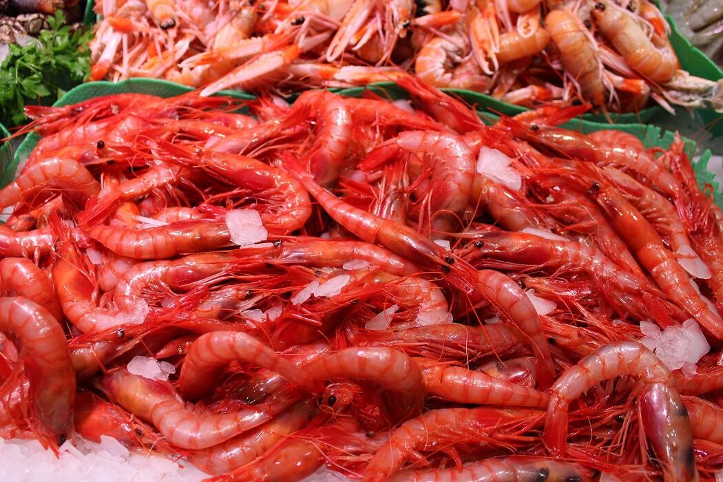 Images PESCADOS CANO