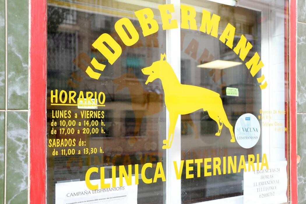 Images Clínica Veterinaria Dobermann II