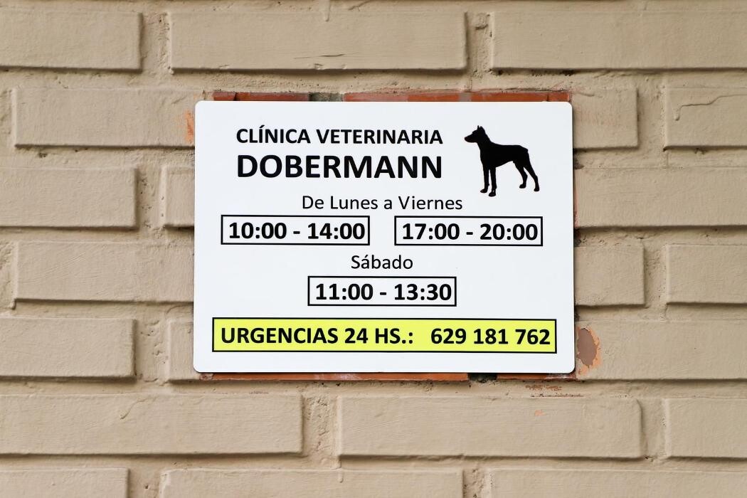 Images Clínica Veterinaria Dobermann II