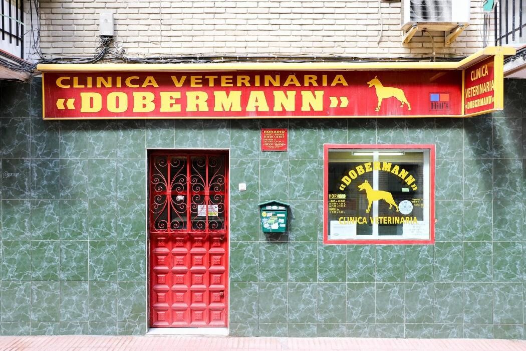 Images Clínica Veterinaria Dobermann II