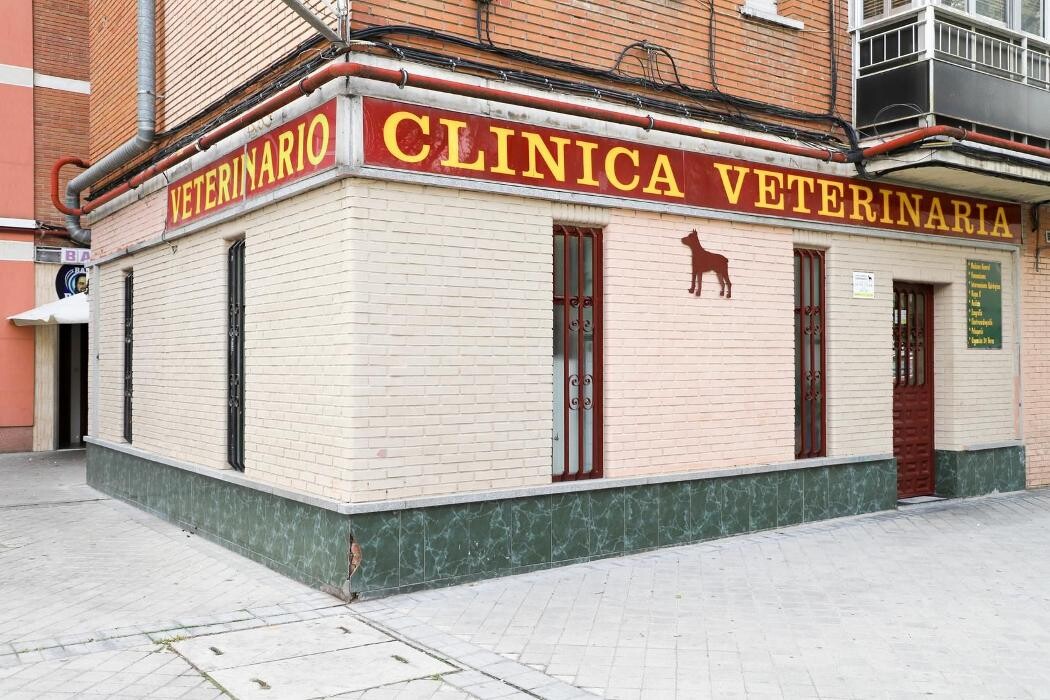 Images Clínica Veterinaria Dobermann II