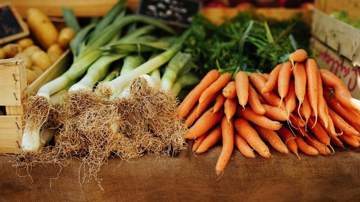 Images Restaurante Vegetariano La Retama