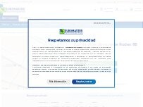 Website Screenshot Euromaster Benavente Rodex 88