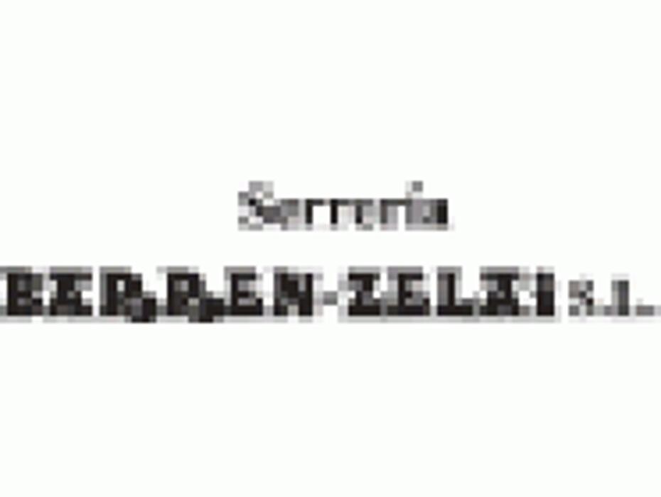 SERRERÍA BARREN-ZELAI, S.L. Logo