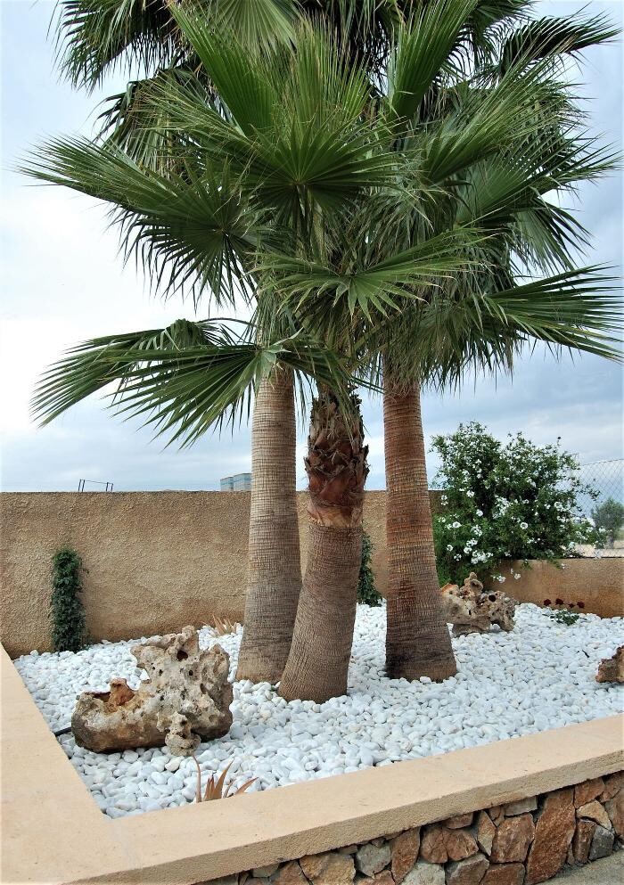 Images Tomás Siquier I Fills