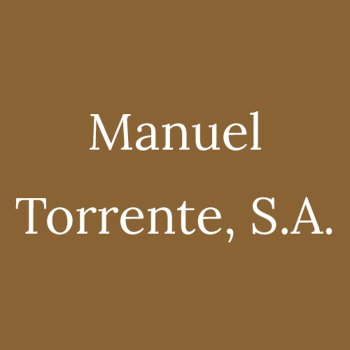 Manuel Torrente S.A. Logo