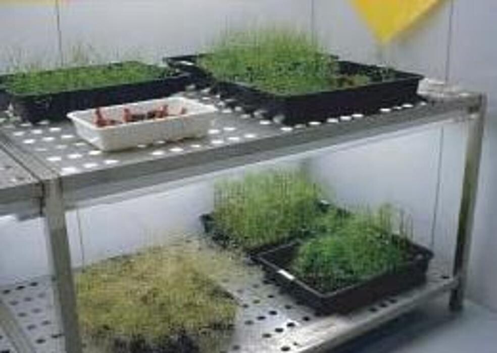 Images Refrigeración Zuriaga